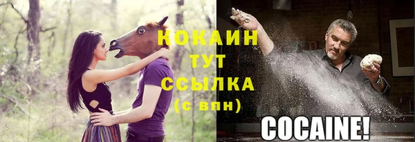 ПСИЛОЦИБИНОВЫЕ ГРИБЫ Волоколамск